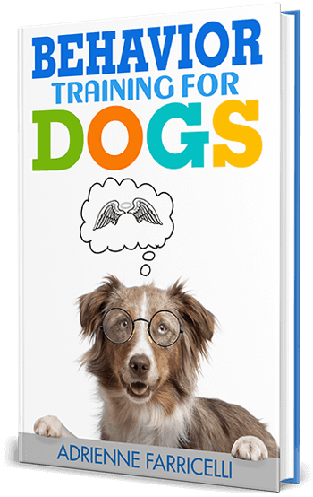 Brain Training For Dogs  Bonus #1