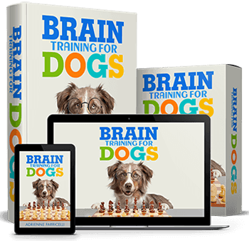 Brain Training For Dogs 
