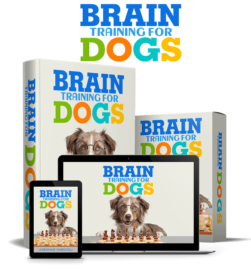 Brain Training For Dogs 