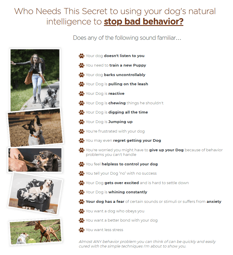 Brain Training For Dogs -Checkout-Page